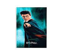 NEW IMPORT 128HP-BTM Serviette de Plage en Microfibre 70 x 140 cm Harry Potter