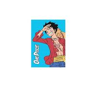 NEW IMPORT Couverture Polaire One Piece