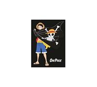 NEW IMPORT Couverture Polaire One Piece