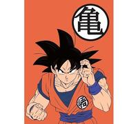 NEW IMPORT Dragon Ball Couverture Polaire 100 x 140 cm