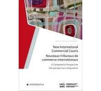 New International Commercial Courts
