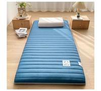 New Japanese Floor Futon Mattress, Foldable Roll Up Mattress Thai Massage Bed Mattresses Tatami Floor Mattress Sleeping Mattress for Floor (Color : C, Size : 120X190cm)
