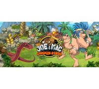 New Joe and Mac Caveman Ninja (Nintendo)
