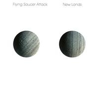 New Lands – Domino Records