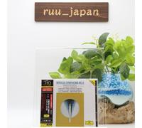 New LEONARD BERNSTEIN-MAHLER : SYMPHONY NO.6 JAPAN 2 UHQCD Ltd/Ed