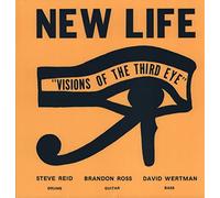 New Life Trio - Visions of The Third Eye [Import]