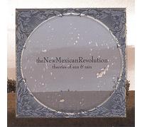 New Mexican Disaster Squad - Theories of Sun & Rain