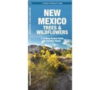 New Mexico Trees amp Wildflowers A Folding Pocket Guide to Familiar Species by Illustrated by Dr Raymond Leung James Kavanagh James Kavanagh (Auteur)