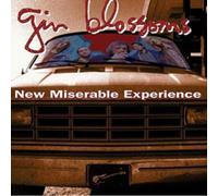 Gin Blossoms - New Miserable Experience [Import]