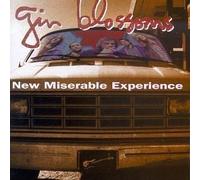 Gin Blossoms – New Miserable Experience – Import