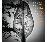 New Miserable Experience Gild the Lily (Vinyl) 12" Album