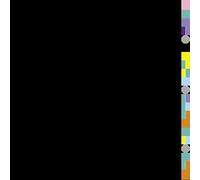 New Order - Blue Monday - Vinyl Record MAXI VINYL - E1111z