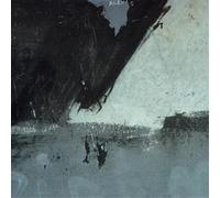 Shellshock (Vinyle 12'')