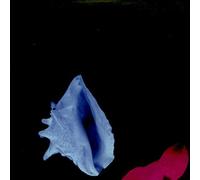 New Order - Touched By The Hand Of God [Vinyl Single 12'']