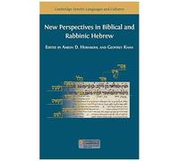 New Perspectives In Biblical And Rabbinic Hebrew