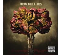 New Politics – New Politics