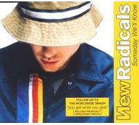 New Radicals - Someday Well Know [Import]