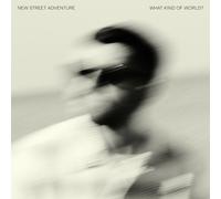 New Street Adventure - What Kind Of World? [Vinyl Lp]
