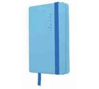 New York Visual Notebook: Blue Duck Egg