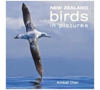New Zealand Birds In Pictures