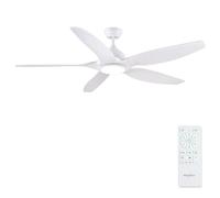 Newday 153cm Grand Ventilateur de Plafond Blanc avec Lumiere et Télécommande Silencieux, Plafonnier Ventilateur Moderne avec Moteur DC Réversible, 5 Pale Minuterie Dimmer pour Chambre Salon Terrasse