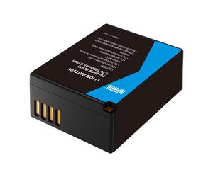 Newell - Batterie équivalente DMW-BLG10E