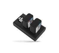 Newell Double Chargeur DL-USB-C pour NP-FW50