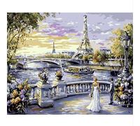 NEWENMO Tour Eiffel Peinture par Numéro Kits,Belle Vue sur Paris Peinture Numero Adulte,DIY Paint by Numbers,Creation Adulte pour Débutants,Peinture à l'huile Kit,pour Décoration Maison,40x50cm