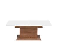 NEWFACE Table Basse en Bois 120 x 45,1 x 70 cm avec Espace de Rangement inférieur de la Table Sangallo Chêne Blanc Brillant Taille Unique