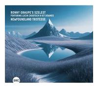 Newfoundland Tristesse