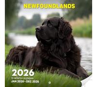 Newfoundlands 2026 Calendar: Gentle Giants in Water & Land Scenes