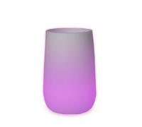 Newgarden Camelia Veilleuse LED Solaire Blanc avec Éclairage & Télécommande