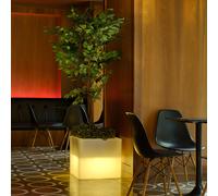 Newgarden Narciso Pot Solaire LED Mini Cube Blanc Avec Batterie, Dimmable, IP65