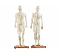 2 mannequins d’acupuncture (homme/femme) [Newgen Medicals]
