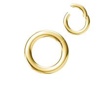 NewkeepsR 2.5mm Épaisseur de la rangée,8mm Anodisé Or Dépôt en phase vapeur Grand Jauge Acier Chirurgical Ensemble Clic Segment Orbital Conque Anneau