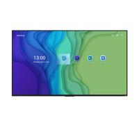 Newline STV+ - 98 pouces