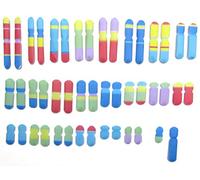 NewPath Learning Chromosomes 24-7714 Kit de modélisme 3D en couleur, modèles de modèle en papier et guide pour enseignant
