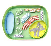 NewPath Learning Simple Kit de fabrication de modélisme 3D en cellule végétale - Lot de 5 modèles en papier et guide des enseignants (24-7731)