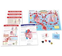 NewPath Learning The Circulatory System Learning Center Jeu - Grades 6-9
