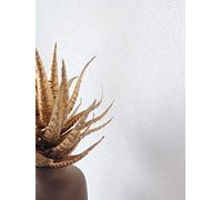 NEWROOM Papier peint Blanc Légèrement Brillant Intissé - Couleurs Unies Paillettes Unicolore Moderne