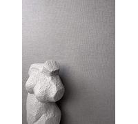 NEWROOM Papier peint Gris Couleur Unie Intissé - Couleurs Unies Structure Textile