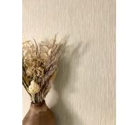 Newroom papier peint intissé beige uni sable salon séjour entrée