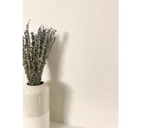 Newroom Papier Peint Intissé Gris Uni Aspect Lin Salon Couloir Paraiso