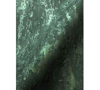 Newroom - Papier peint intissé - Motif moderne - Plâtre, béton, vert - Structure industrielle avec conseils pour tapisser (français non garanti)