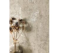 NEWROOM Papier Peint Intissé Taupe Aspect Béton - Industrial Glamour Métallique Ciment Salon Chambre