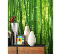 NEWROOM Papier peint Vert Bambou Papier - Nature Forêt
