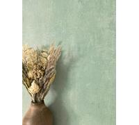 NEWROOM Papier peint Vert Couleur Unie Intissé - Couleurs Unies Gris Unicolore Texture Moderne