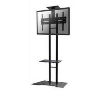 NewStar LCD/LED/Plasma floor stand 32 - 55"", PLASMA-M1700ES (32 - 55 VESA 200x200 to 600x450mm.)
