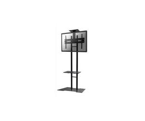 NewStar LCD/LED/Plasma floor stand 32 - 55"", PLASMA-M1700ES (32 - 55 VESA 200x200 to 600x450mm.)