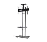 NewStar PLASMA-M1700ES Support pour Ecran plat Noir